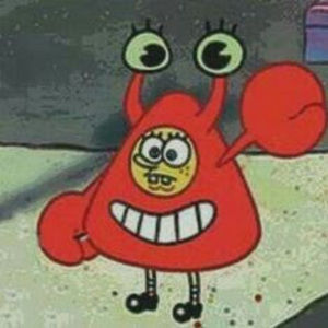 Meet your Posher, Teagan